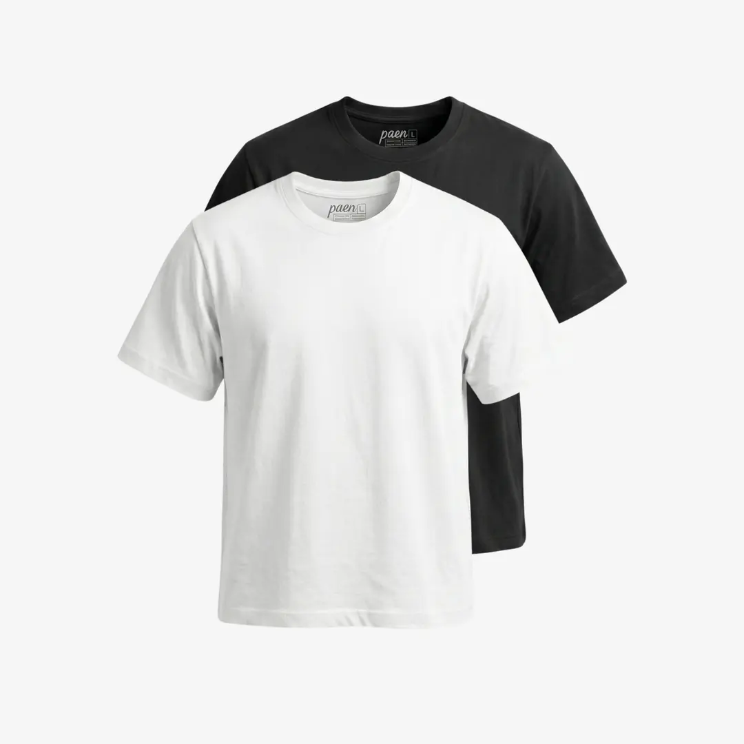 PAEN Premium Regular Fit 2'li T-shirt Paketi
